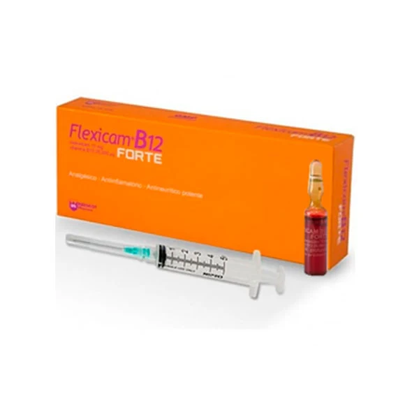 FLEXICAM B12 FORTE X 3 ML (MELOXICAM+V B12)